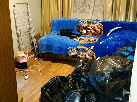 комната по адресу Кубанской Украины ул. (Маршала Жукова), 53