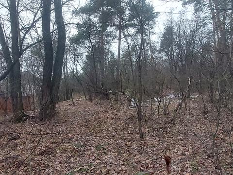 участок по адресу Васильківська