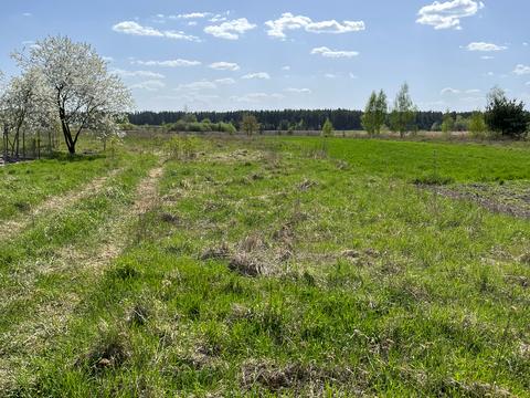 участок по адресу Чубаря