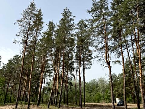 ділянка за адресою Зелена