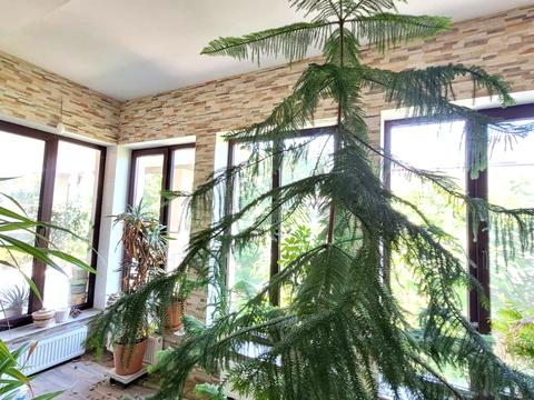 будинок за адресою Сумська вул., 333