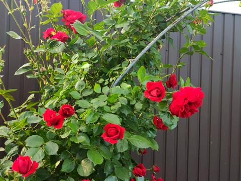 будинок за адресою Приозерна вул.