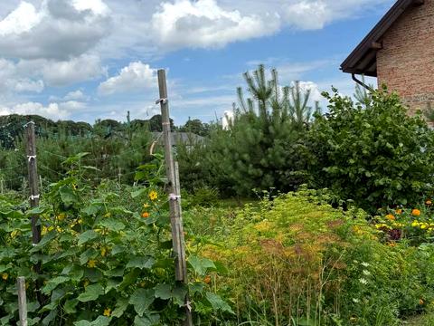 ділянка за адресою Південна вул., 18