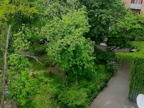 квартира по адресу Вышгородская ул., 33