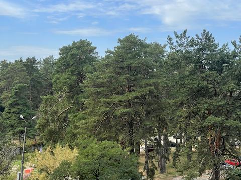 квартира по адресу Николая Винграновского ул., 2