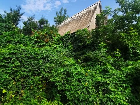 ділянка за адресою Озерна, 20