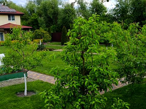 участок по адресу Чернинская ул.