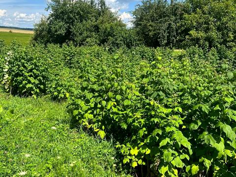 дом по адресу Дубно, Андріанова, 6