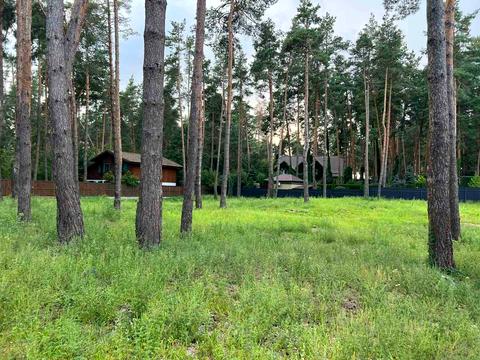 участок по адресу с. Романков, Сосновый Бор ул.