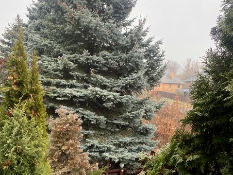 будинок за адресою Верхньосадова вул., 13
