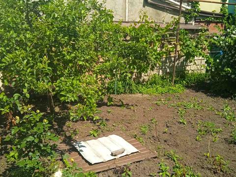 комната по адресу пер Тенистый, 6