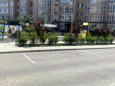 квартира за адресою Семена Палія вул., 22