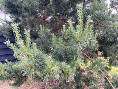 дом по адресу Степова вул.