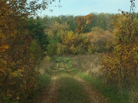участок по адресу переулок Шкільний, 14