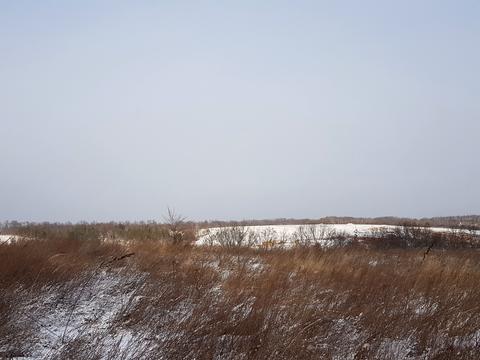 ділянка за адресою с. Лісники, 