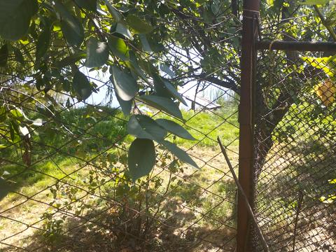 будинок за адресою Садовая