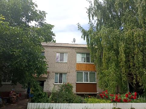 квартира за адресою Центральна, 3