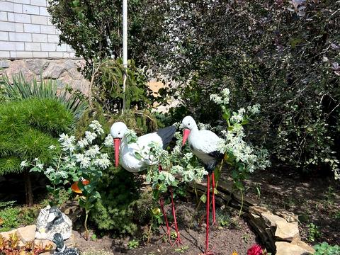 дом по адресу Лесі Українки