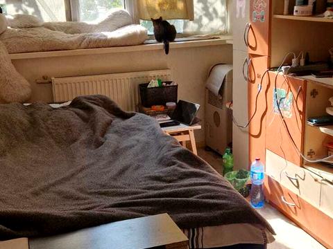дом по адресу Беломорская ул. (Біломорська)