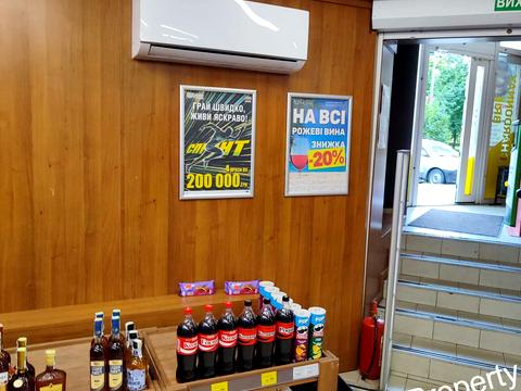 комерційна за адресою Гетьмана Кирила Розумовського вул. (Миколи Краснова), 17