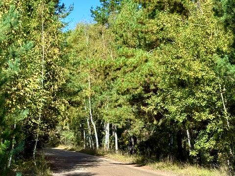 будинок за адресою Садова, 12