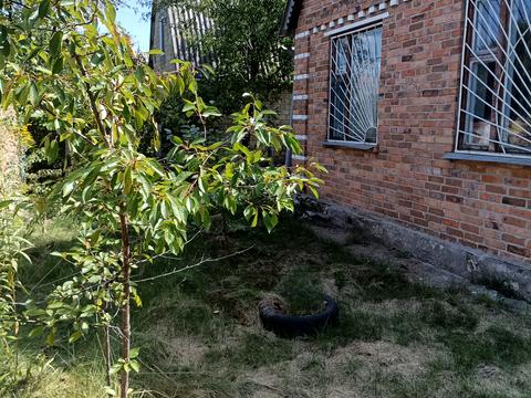 дом по адресу Садова 6 СТ Ромашка