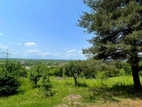 ділянка за адресою Висока