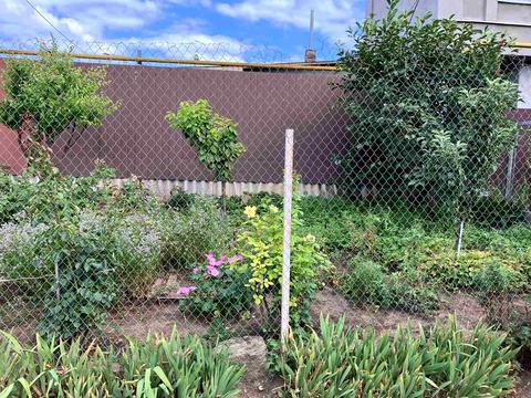 дом по адресу Морская ул.