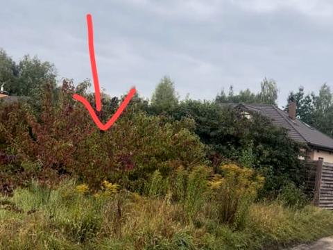 участок по адресу Счастливый пер.