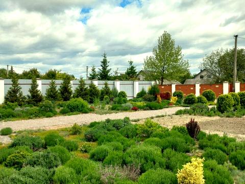 дом по адресу Довга