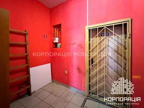 коммерческая по адресу Мукачевская ул., 10А