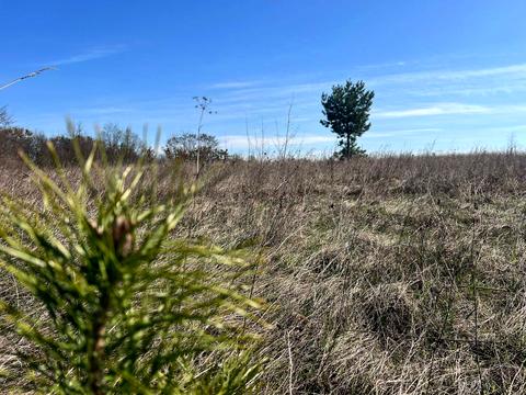 участок по адресу Василькова