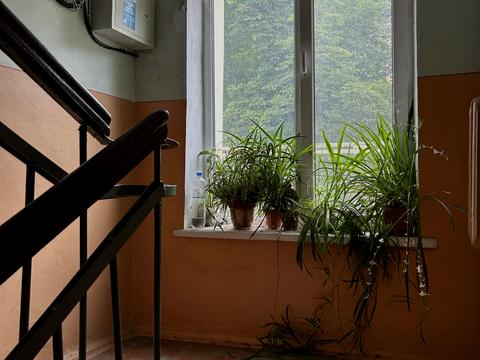 квартира за адресою Волі просп., 9а