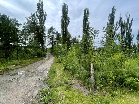ділянка за адресою Звенигородська вул., 99-А