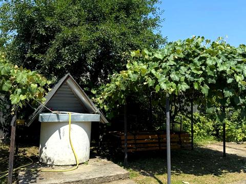 будинок за адресою с. Михальча, Українська, 12