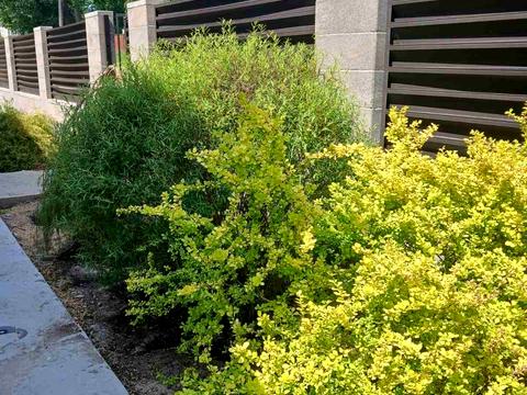 будинок за адресою Тищенка вул., 39