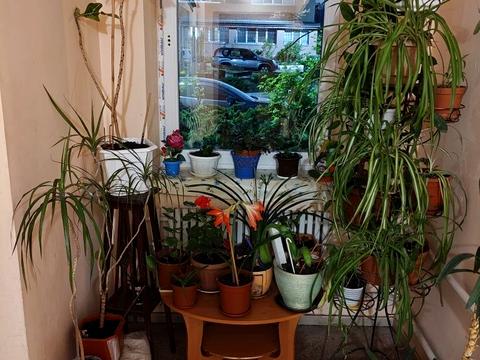 квартира за адресою Тракторобудівників просп., 94в