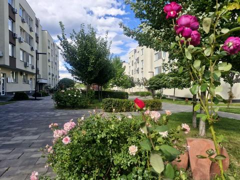 квартира за адресою Березнева, 43