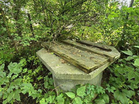 ділянка за адресою Володимирська вул., 191