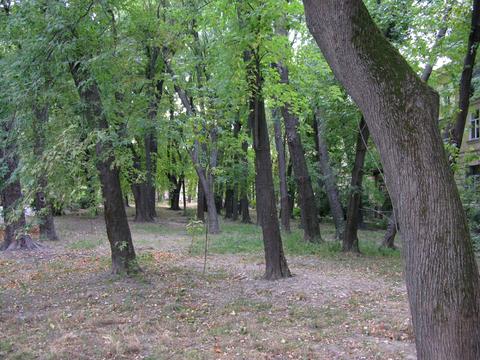 кімната за адресою Авіаконструктора Антонова вул., 2/32