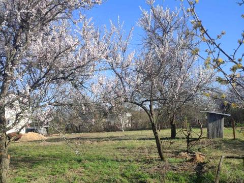 будинок за адресою СТ Сокіл, 98