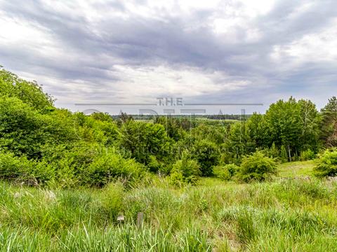 дом по адресу Лісова