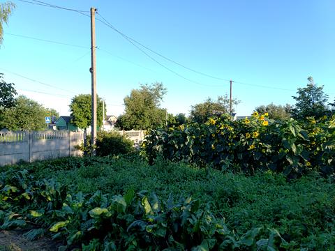 ділянка за адресою Київська вул., 1