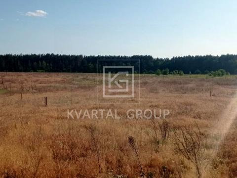 ділянка за адресою Березова