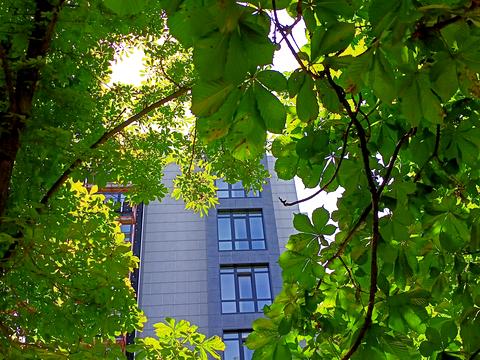 квартира за адресою Космонавтів вул., 23