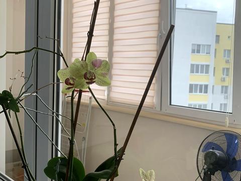 квартира по адресу Боголюбова ул., 41