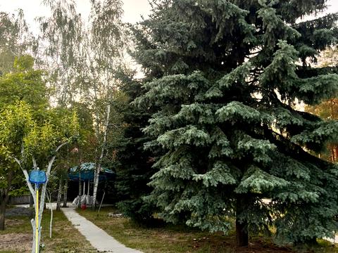 будинок за адресою с. Піщанка, Болтушенко, 2