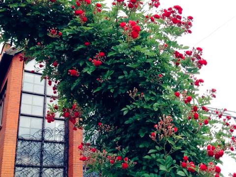 будинок за адресою Щоглова вул., 42