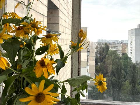 квартира по адресу Митрополита Андрея Шептицкого ул. (Анатолія Луначарського), 3-Б