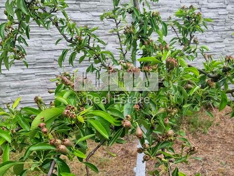 будинок за адресою Садова вул.